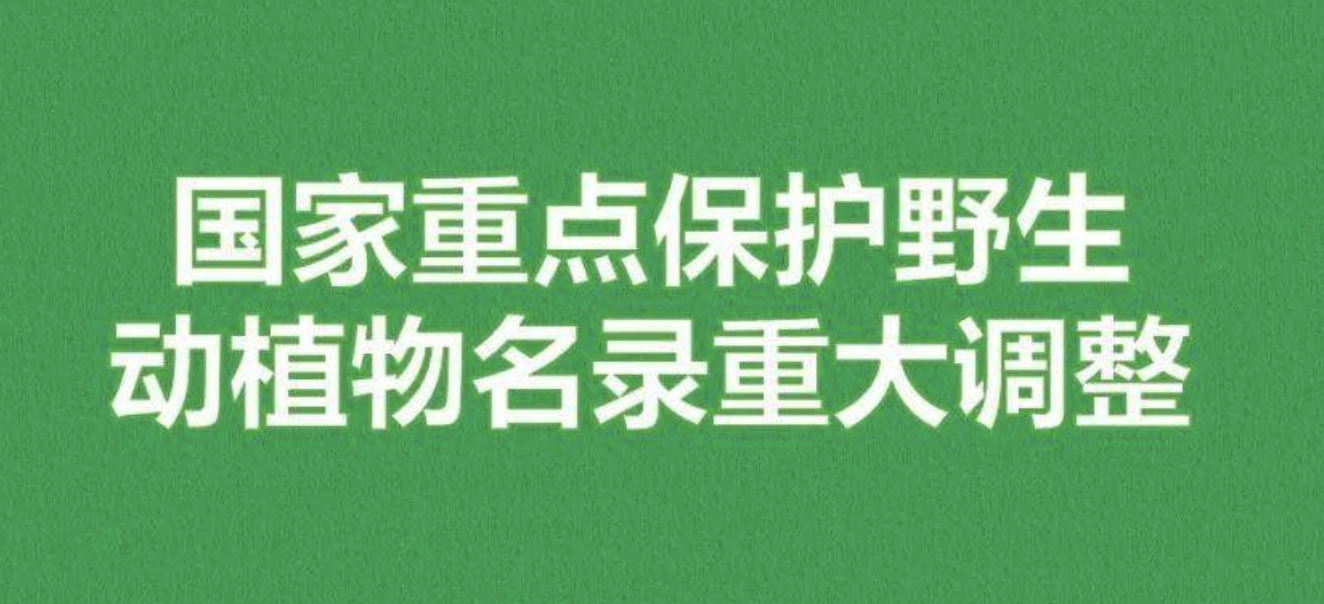 重磅！新版國(guó)家重點(diǎn)保護(hù)野生植物名錄公布，58種/屬列入一級(jí)保護(hù)，值得收藏